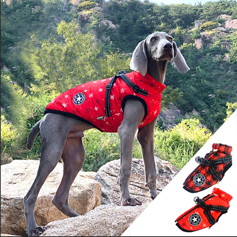 Waterproof Winter Dog Jacket With Harness