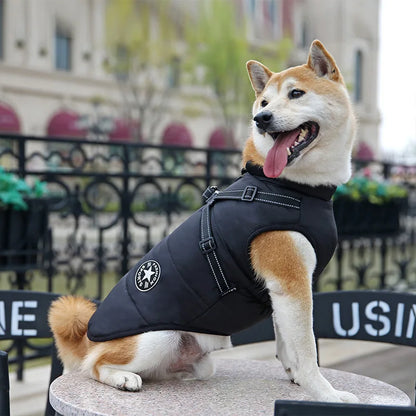 Waterproof Winter Dog Jacket With Harness