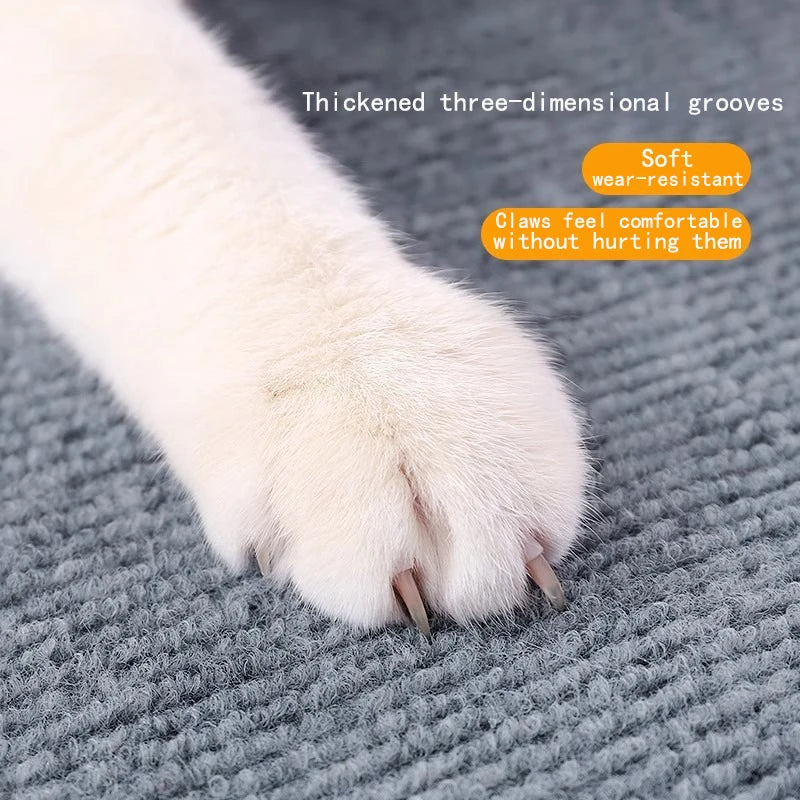 Self-Adhesive Water-Absorbent Home Rug